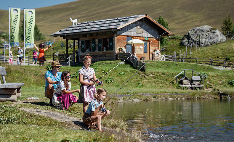 Heidi-Alm am Falkert