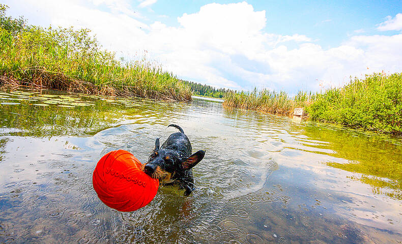 Urlaub mit Kind und Hund © pixelpoint multimedia, Wolfgang Handler